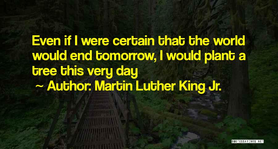 Martin Luther King Jr. Quotes: Even If I Were Certain That The World Would End Tomorrow, I Would Plant A Tree This Very Day