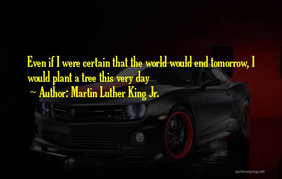 Martin Luther King Jr. Quotes: Even If I Were Certain That The World Would End Tomorrow, I Would Plant A Tree This Very Day