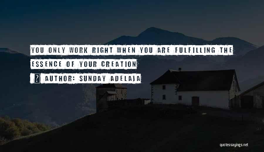 Sunday Adelaja Quotes: You Only Work Right When You Are Fulfilling The Essence Of Your Creation