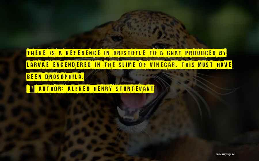 Alfred Henry Sturtevant Quotes: There Is A Reference In Aristotle To A Gnat Produced By Larvae Engendered In The Slime Of Vinegar. This Must