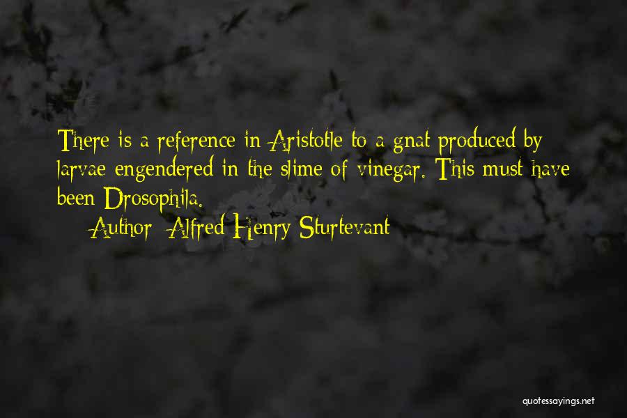 Alfred Henry Sturtevant Quotes: There Is A Reference In Aristotle To A Gnat Produced By Larvae Engendered In The Slime Of Vinegar. This Must
