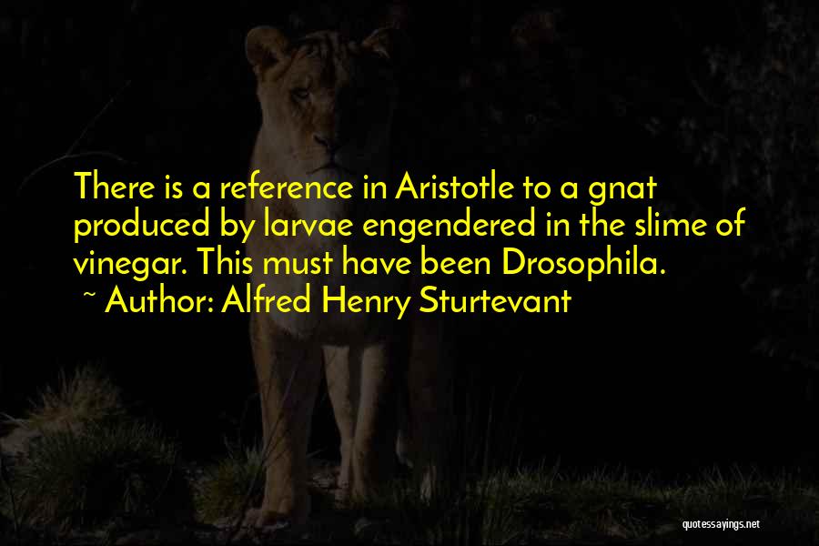 Alfred Henry Sturtevant Quotes: There Is A Reference In Aristotle To A Gnat Produced By Larvae Engendered In The Slime Of Vinegar. This Must