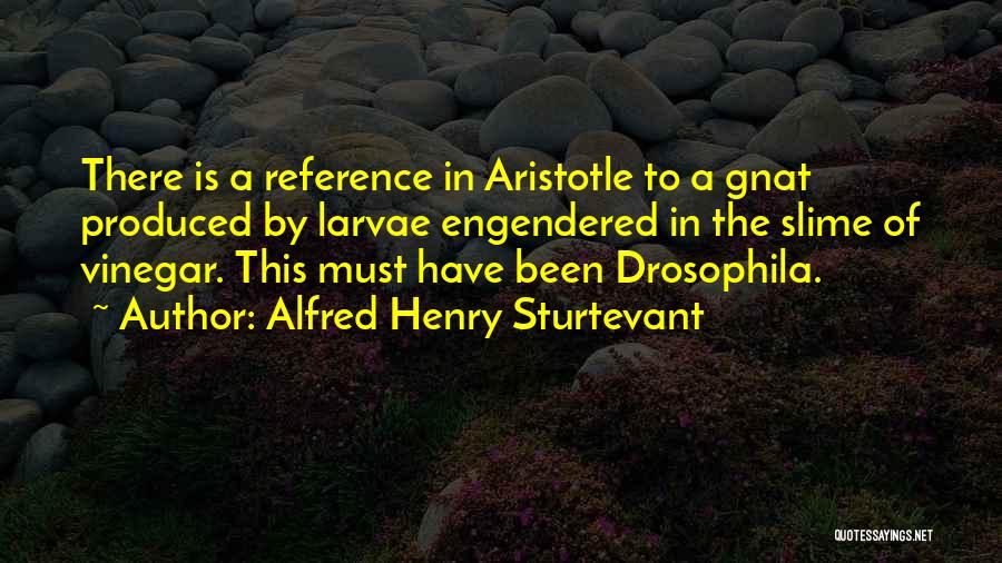 Alfred Henry Sturtevant Quotes: There Is A Reference In Aristotle To A Gnat Produced By Larvae Engendered In The Slime Of Vinegar. This Must