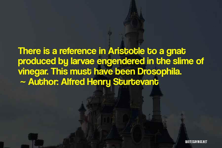 Alfred Henry Sturtevant Quotes: There Is A Reference In Aristotle To A Gnat Produced By Larvae Engendered In The Slime Of Vinegar. This Must