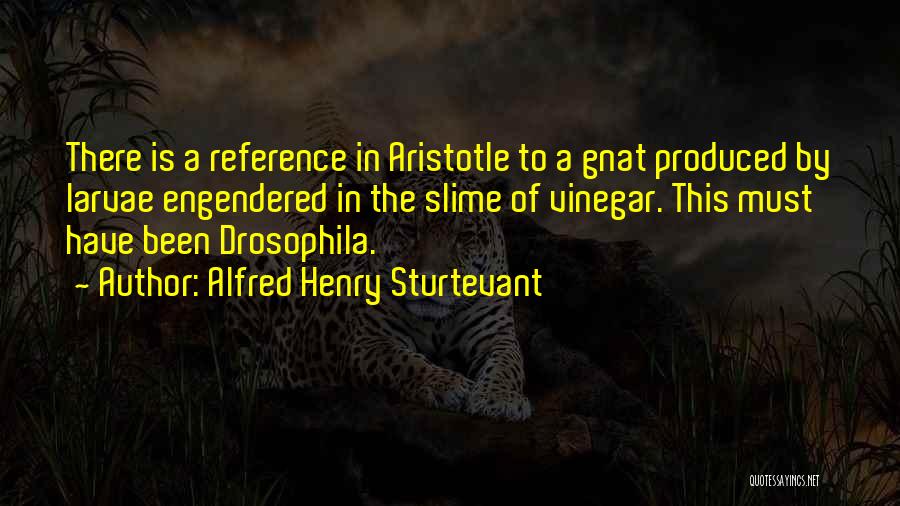 Alfred Henry Sturtevant Quotes: There Is A Reference In Aristotle To A Gnat Produced By Larvae Engendered In The Slime Of Vinegar. This Must