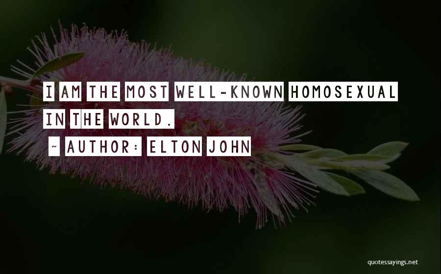 Elton John Quotes: I Am The Most Well-known Homosexual In The World.