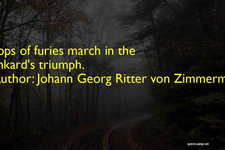 Johann Georg Ritter Von Zimmermann Quotes: Troops Of Furies March In The Drunkard's Triumph.