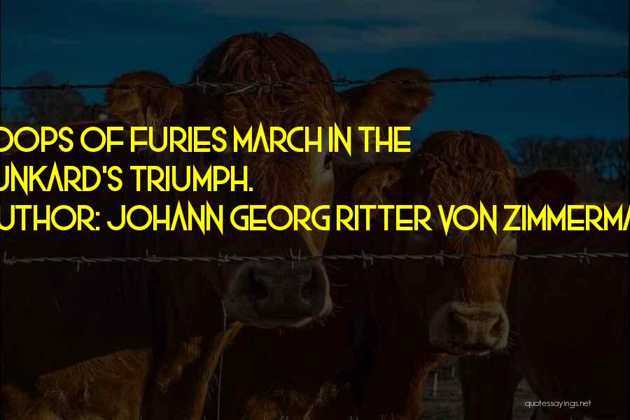 Johann Georg Ritter Von Zimmermann Quotes: Troops Of Furies March In The Drunkard's Triumph.