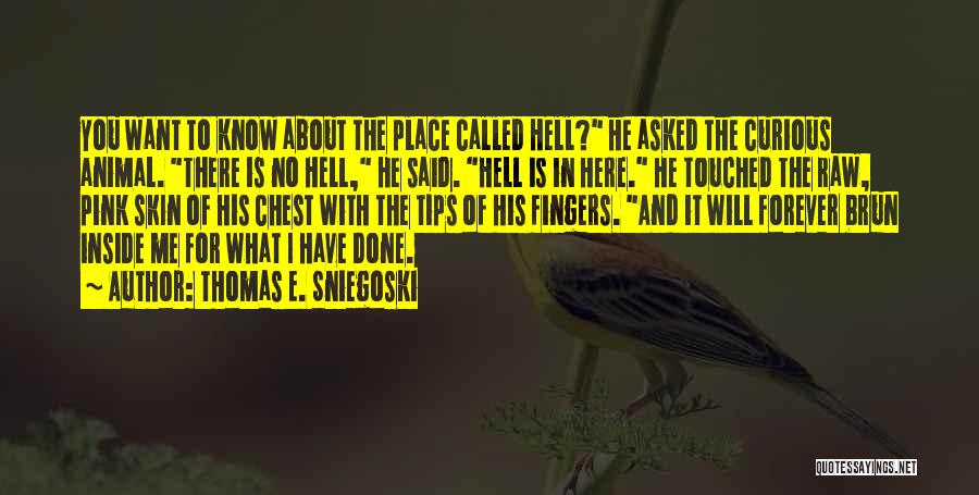 Thomas E. Sniegoski Quotes: You Want To Know About The Place Called Hell? He Asked The Curious Animal. There Is No Hell, He Said.
