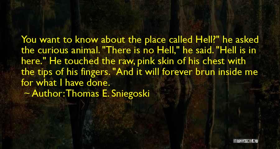 Thomas E. Sniegoski Quotes: You Want To Know About The Place Called Hell? He Asked The Curious Animal. There Is No Hell, He Said.