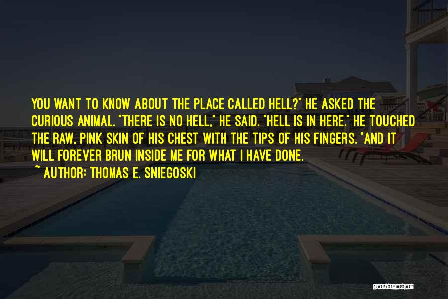 Thomas E. Sniegoski Quotes: You Want To Know About The Place Called Hell? He Asked The Curious Animal. There Is No Hell, He Said.