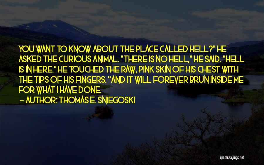 Thomas E. Sniegoski Quotes: You Want To Know About The Place Called Hell? He Asked The Curious Animal. There Is No Hell, He Said.