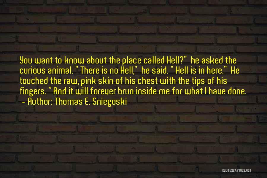 Thomas E. Sniegoski Quotes: You Want To Know About The Place Called Hell? He Asked The Curious Animal. There Is No Hell, He Said.