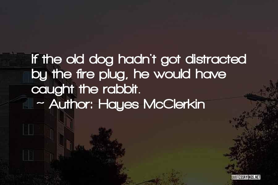 Hayes McClerkin Quotes: If The Old Dog Hadn't Got Distracted By The Fire Plug, He Would Have Caught The Rabbit.