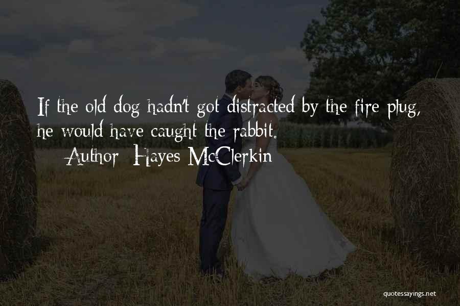 Hayes McClerkin Quotes: If The Old Dog Hadn't Got Distracted By The Fire Plug, He Would Have Caught The Rabbit.
