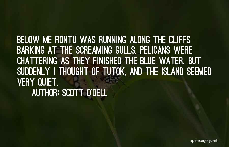 Scott O'Dell Quotes: Below Me Rontu Was Running Along The Cliffs Barking At The Screaming Gulls. Pelicans Were Chattering As They Finished The