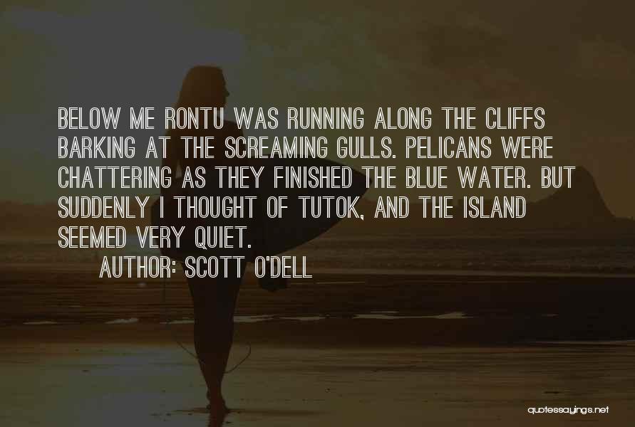 Scott O'Dell Quotes: Below Me Rontu Was Running Along The Cliffs Barking At The Screaming Gulls. Pelicans Were Chattering As They Finished The