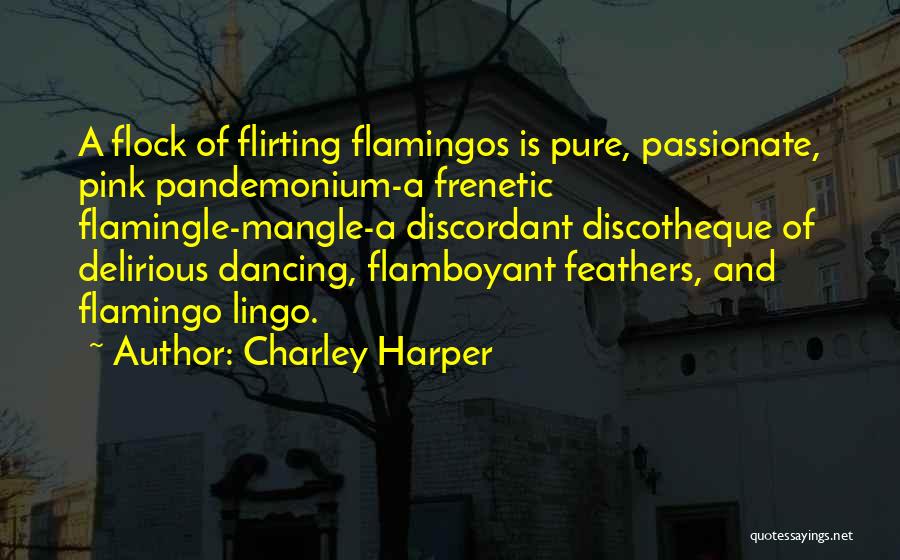 Charley Harper Quotes: A Flock Of Flirting Flamingos Is Pure, Passionate, Pink Pandemonium-a Frenetic Flamingle-mangle-a Discordant Discotheque Of Delirious Dancing, Flamboyant Feathers, And