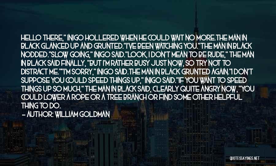 William Goldman Quotes: Hello There, Inigo Hollered When He Could Wait No More.the Man In Black Glanced Up And Grunted.i've Been Watching You.the