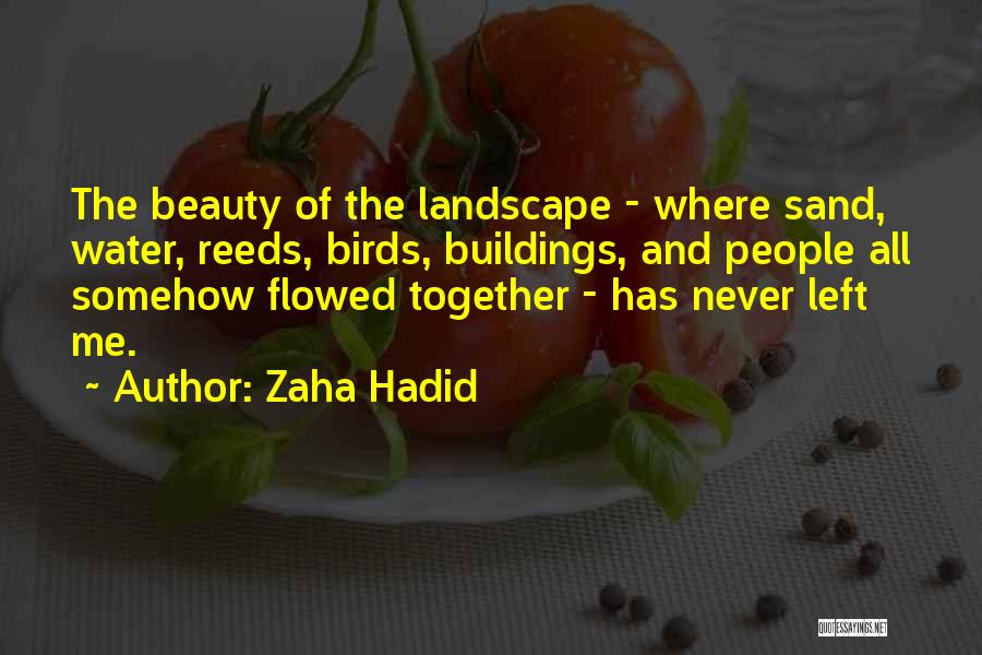 Zaha Hadid Quotes: The Beauty Of The Landscape - Where Sand, Water, Reeds, Birds, Buildings, And People All Somehow Flowed Together - Has