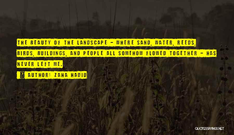 Zaha Hadid Quotes: The Beauty Of The Landscape - Where Sand, Water, Reeds, Birds, Buildings, And People All Somehow Flowed Together - Has