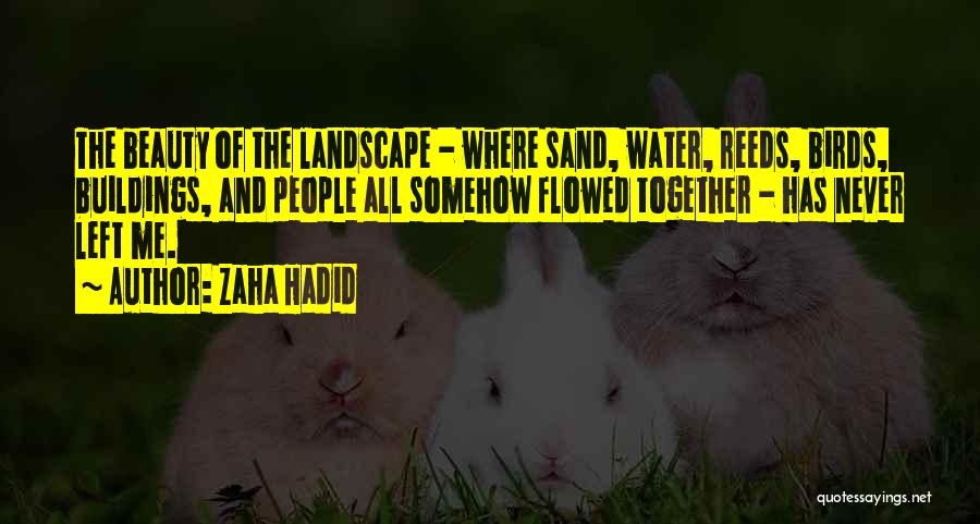 Zaha Hadid Quotes: The Beauty Of The Landscape - Where Sand, Water, Reeds, Birds, Buildings, And People All Somehow Flowed Together - Has