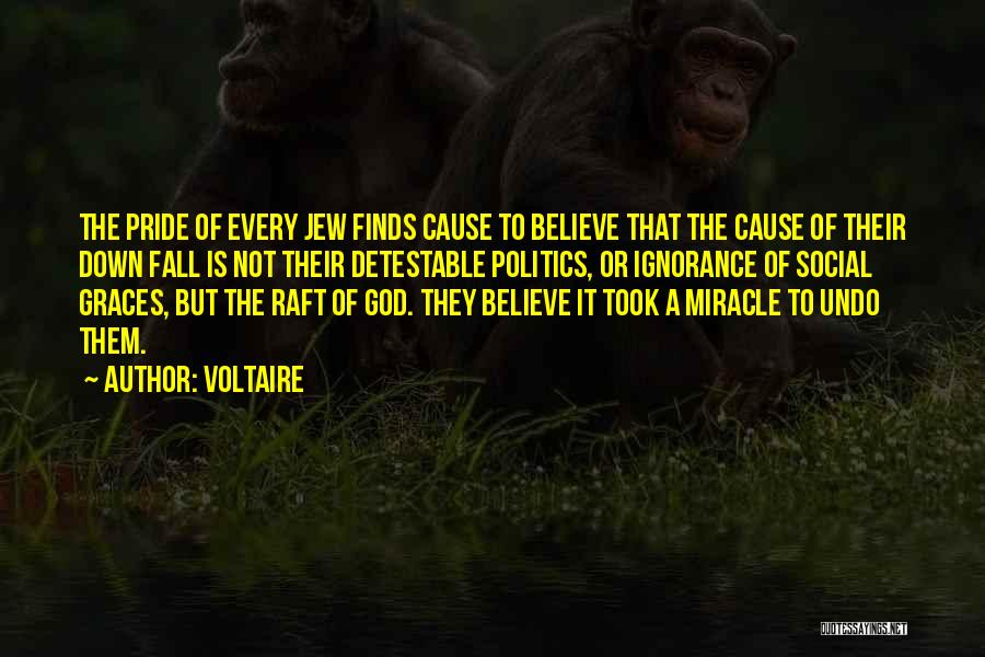 Voltaire Quotes: The Pride Of Every Jew Finds Cause To Believe That The Cause Of Their Down Fall Is Not Their Detestable
