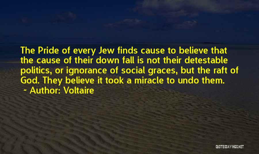 Voltaire Quotes: The Pride Of Every Jew Finds Cause To Believe That The Cause Of Their Down Fall Is Not Their Detestable