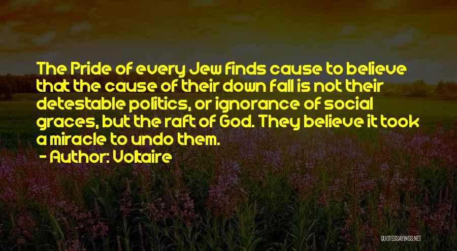 Voltaire Quotes: The Pride Of Every Jew Finds Cause To Believe That The Cause Of Their Down Fall Is Not Their Detestable