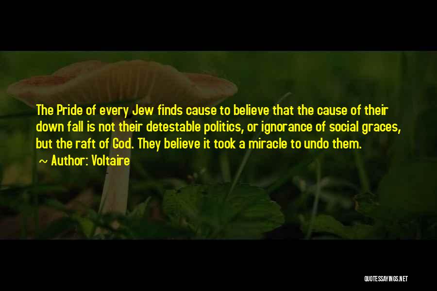 Voltaire Quotes: The Pride Of Every Jew Finds Cause To Believe That The Cause Of Their Down Fall Is Not Their Detestable