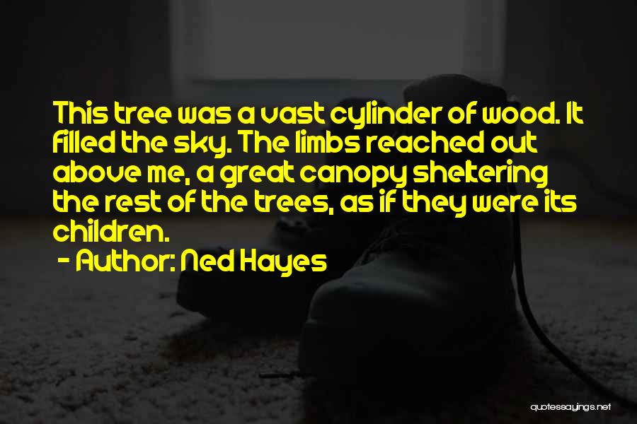 Ned Hayes Quotes: This Tree Was A Vast Cylinder Of Wood. It Filled The Sky. The Limbs Reached Out Above Me, A Great