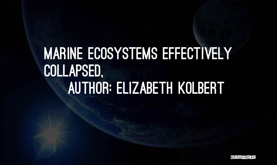 Elizabeth Kolbert Quotes: Marine Ecosystems Effectively Collapsed,