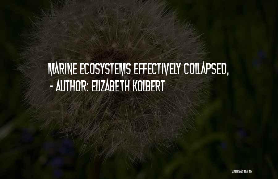 Elizabeth Kolbert Quotes: Marine Ecosystems Effectively Collapsed,