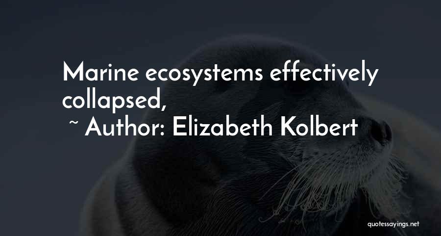 Elizabeth Kolbert Quotes: Marine Ecosystems Effectively Collapsed,