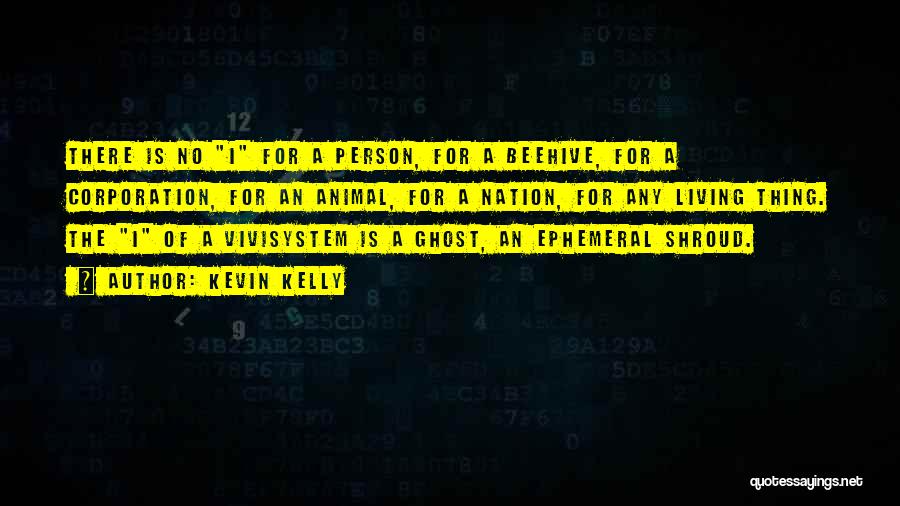 Kevin Kelly Quotes: There Is No I For A Person, For A Beehive, For A Corporation, For An Animal, For A Nation, For