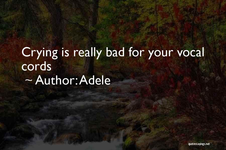 Adele Quotes: Crying Is Really Bad For Your Vocal Cords