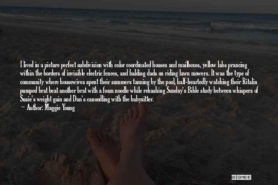 Maggie Young Quotes: I Lived In A Picture Perfect Subdivision With Color Coordinated Houses And Mailboxes, Yellow Labs Prancing Within The Borders Of