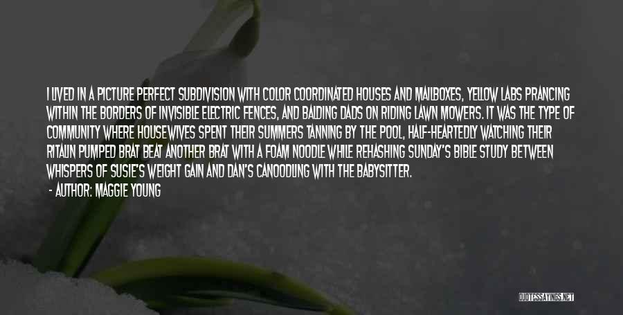 Maggie Young Quotes: I Lived In A Picture Perfect Subdivision With Color Coordinated Houses And Mailboxes, Yellow Labs Prancing Within The Borders Of