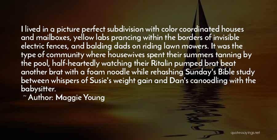 Maggie Young Quotes: I Lived In A Picture Perfect Subdivision With Color Coordinated Houses And Mailboxes, Yellow Labs Prancing Within The Borders Of