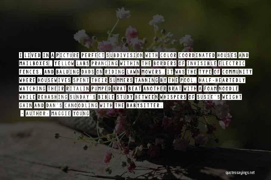 Maggie Young Quotes: I Lived In A Picture Perfect Subdivision With Color Coordinated Houses And Mailboxes, Yellow Labs Prancing Within The Borders Of