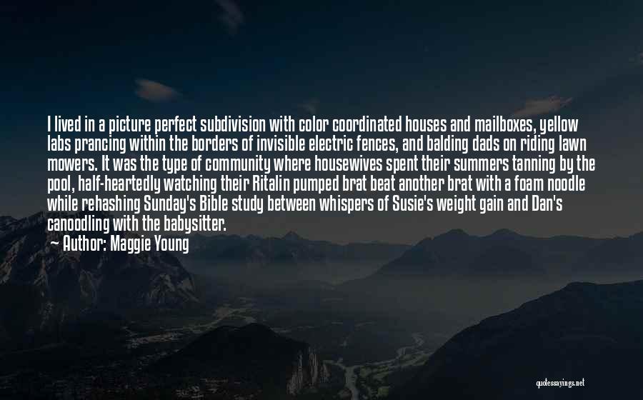 Maggie Young Quotes: I Lived In A Picture Perfect Subdivision With Color Coordinated Houses And Mailboxes, Yellow Labs Prancing Within The Borders Of