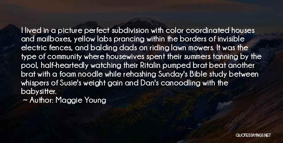 Maggie Young Quotes: I Lived In A Picture Perfect Subdivision With Color Coordinated Houses And Mailboxes, Yellow Labs Prancing Within The Borders Of