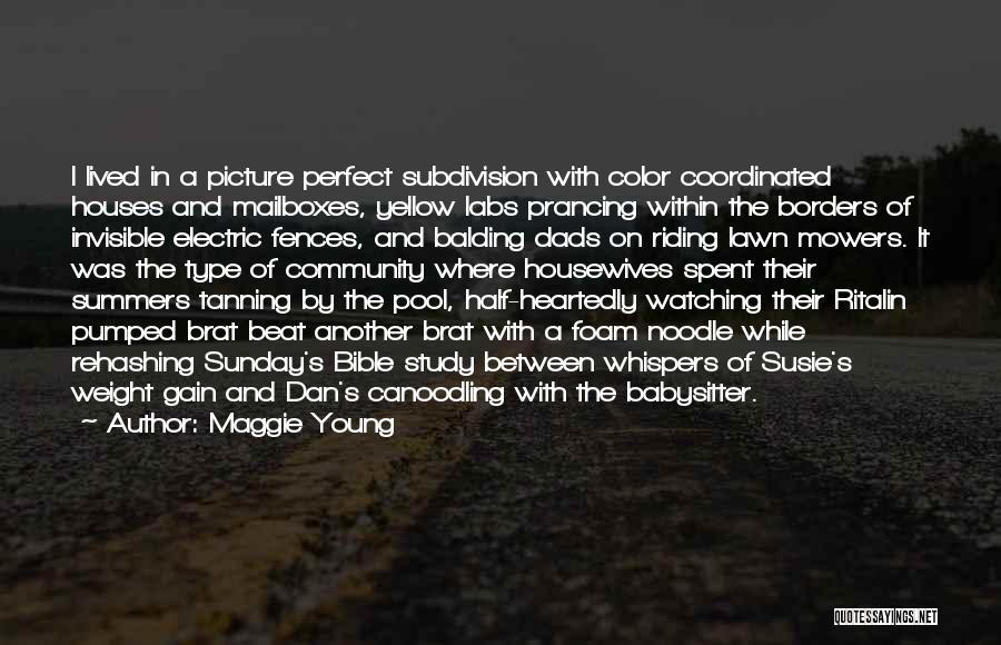 Maggie Young Quotes: I Lived In A Picture Perfect Subdivision With Color Coordinated Houses And Mailboxes, Yellow Labs Prancing Within The Borders Of