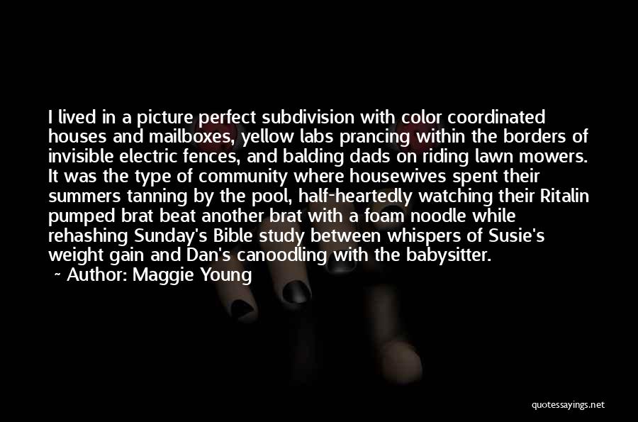Maggie Young Quotes: I Lived In A Picture Perfect Subdivision With Color Coordinated Houses And Mailboxes, Yellow Labs Prancing Within The Borders Of
