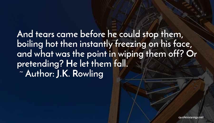 J.K. Rowling Quotes: And Tears Came Before He Could Stop Them, Boiling Hot Then Instantly Freezing On His Face, And What Was The