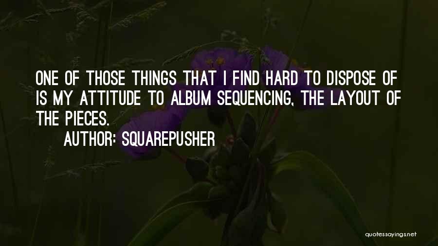 Squarepusher Quotes: One Of Those Things That I Find Hard To Dispose Of Is My Attitude To Album Sequencing, The Layout Of