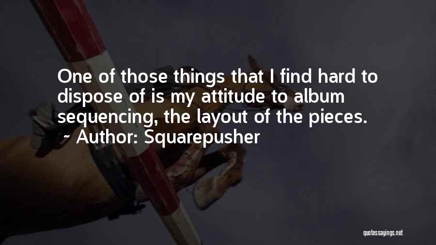 Squarepusher Quotes: One Of Those Things That I Find Hard To Dispose Of Is My Attitude To Album Sequencing, The Layout Of