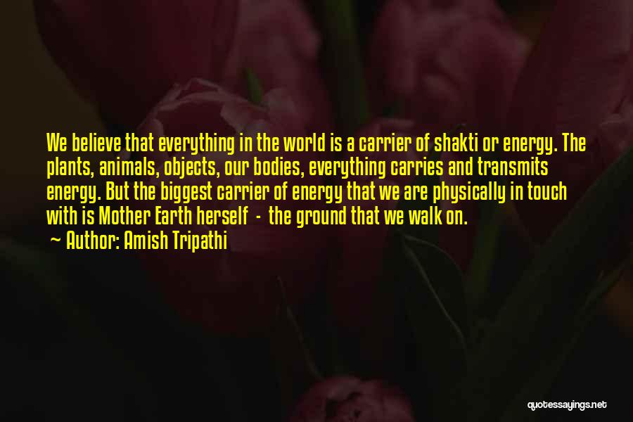 Amish Tripathi Quotes: We Believe That Everything In The World Is A Carrier Of Shakti Or Energy. The Plants, Animals, Objects, Our Bodies,