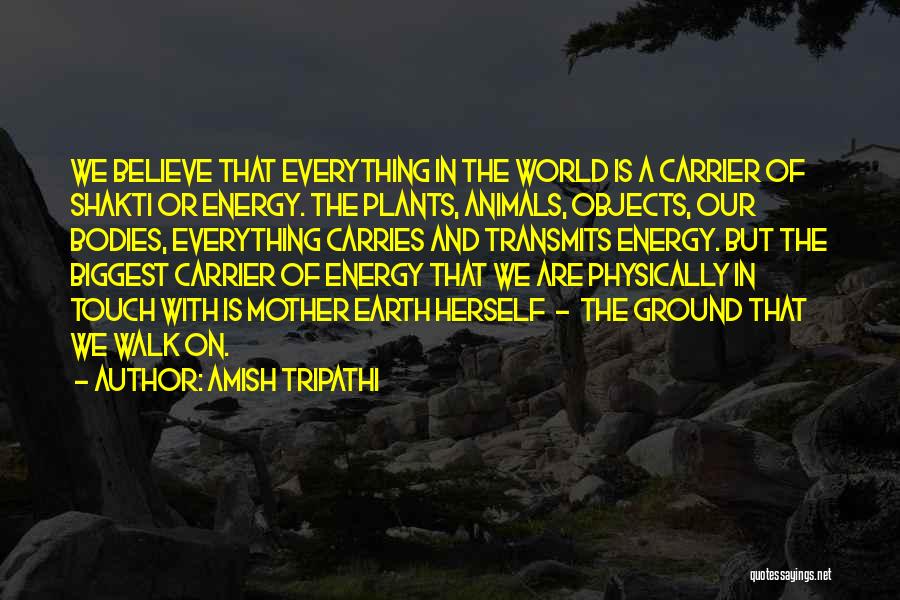 Amish Tripathi Quotes: We Believe That Everything In The World Is A Carrier Of Shakti Or Energy. The Plants, Animals, Objects, Our Bodies,