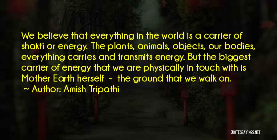 Amish Tripathi Quotes: We Believe That Everything In The World Is A Carrier Of Shakti Or Energy. The Plants, Animals, Objects, Our Bodies,